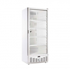 Armoire froide positive GN 2/1 455 L 1 porte vitrée