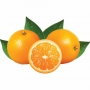 Presse oranges automatique -20/25 oranges