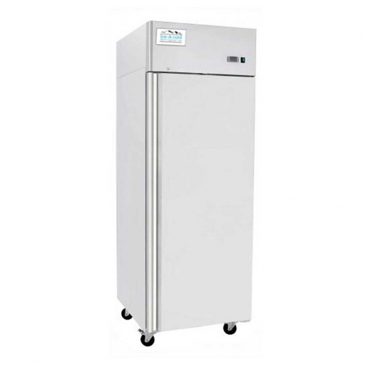 Armoire froide positive GN 2/1 1 porte 670 L
