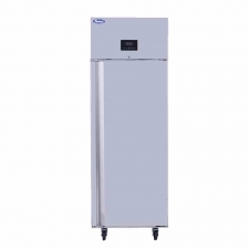Armoire froide négative emboutie GN 2/1 1 porte 552 L
