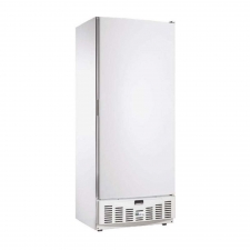Armoire réfrigérée négative 1 porte pleine 520 L laquée blanche