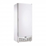 Armoire réfrigérée positive 1 porte pleine 520 L laquée blanche