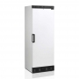 Armoire réfrigérée positive blanche 1 porte 260 L