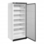 Armoire froide négative 1 porte pleine blanche GN 2/1 605 L