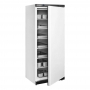 Armoire froide négative 1 porte pleine blanche GN 2/1 605 L