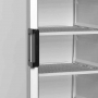 Congélateur vertical de vitrine statique canopée lumineux 1 porte 270 L