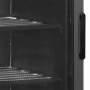 Armoire froide négative noire à porte vitrée chauffée 270 L