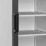 Congélateur vertical de vitrine canopée lumineux statique 1 porte 270 L