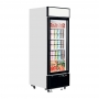 Congélateur vertical vitrine 1 porte 496 L