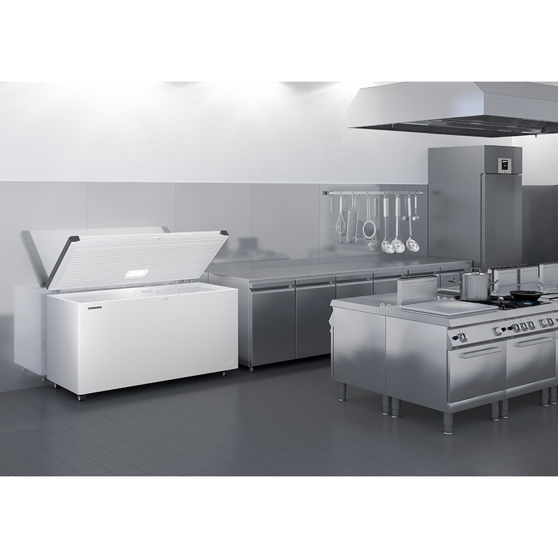 Congélateur coffre professionnel blanc 278 L - FR305SL - TEFCOLD